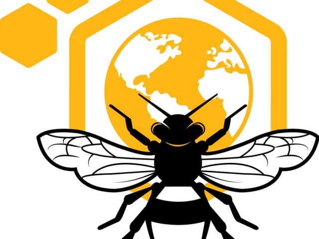 Escape Room Salvar a las abejas