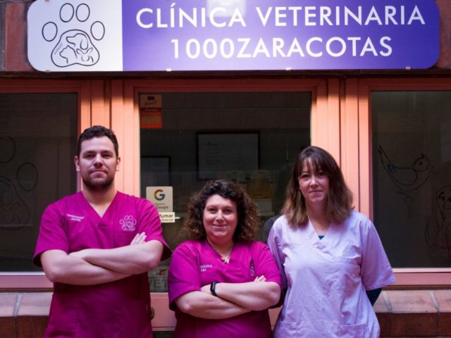 Clinica Veterinaria 1000 Zaracotas